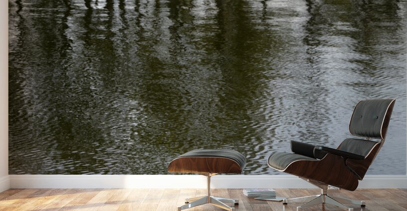 Trees reflected in the ocean Wall Murals