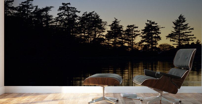 Sucia Island sunset - San Juan Islands Wall Murals