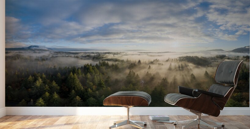 Cowichan Valley Sunrise Wall Murals