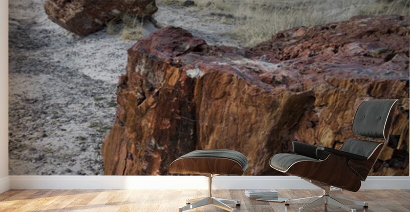 KO A98145 Wall Murals