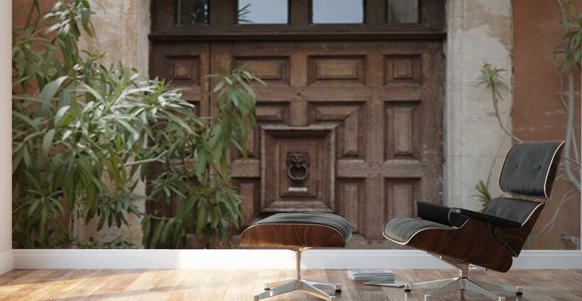 Wooden door with door knocker. Roussillon. France Wall Murals