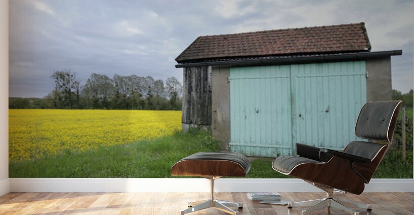 KO FR 08582 Wall Murals