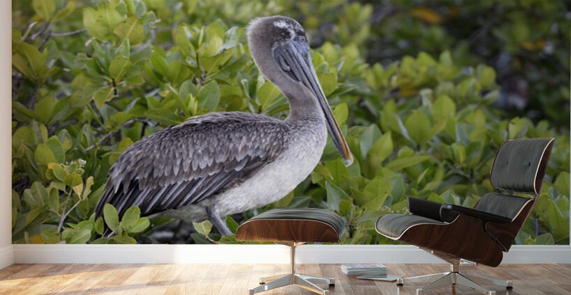 KO EC 7861 Wall Murals