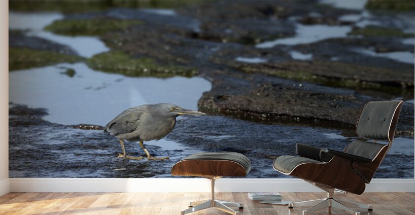 KO EC 13303a Wall Murals