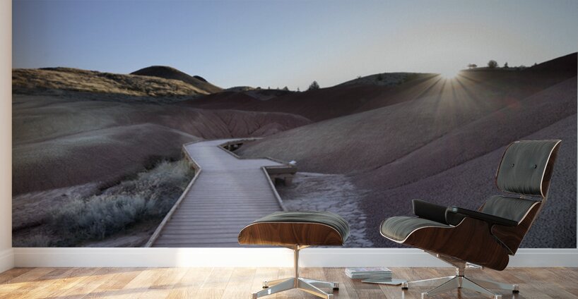 John Day Fossil Beds National Monument Oregon Wall Murals