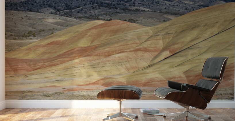 John Day Fossil Beds National Monument Oregon Wall Murals