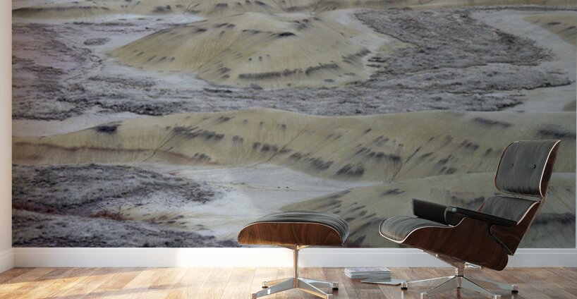 John Day Fossil Beds National Monument Oregon Wall Murals