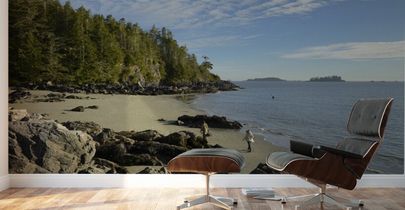 Tonquin Beach Tofino British Columbia Wall Murals