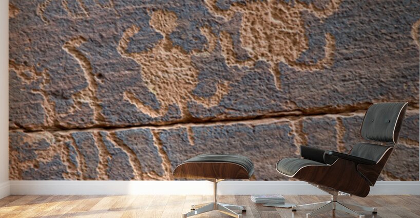 Ancient petroglyphs showcasing animal figures and geometric designs Crane Petroglyph Site Verde Valley Arizona Wall Murals