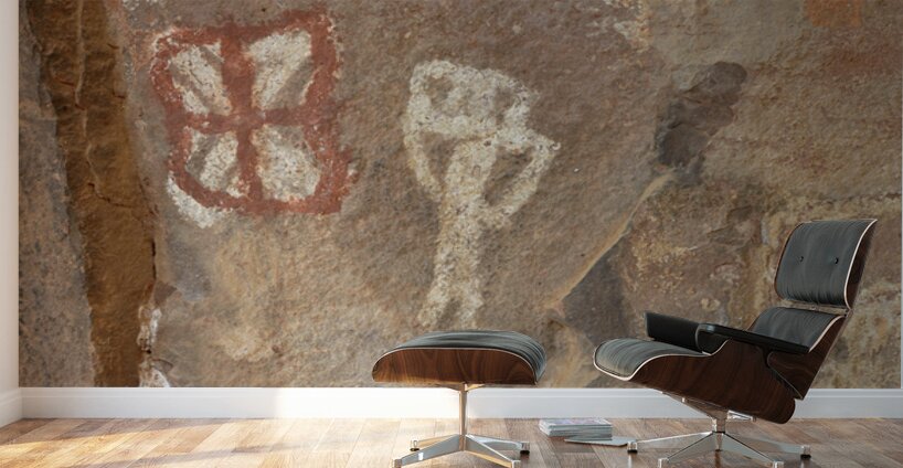 Petroglyphs at the Palatki Ruins Arizona USA Wall Murals