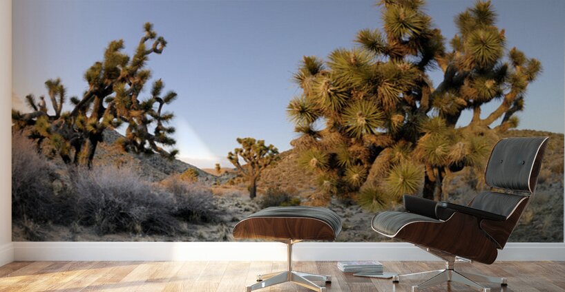 KO A11560 Wall Murals