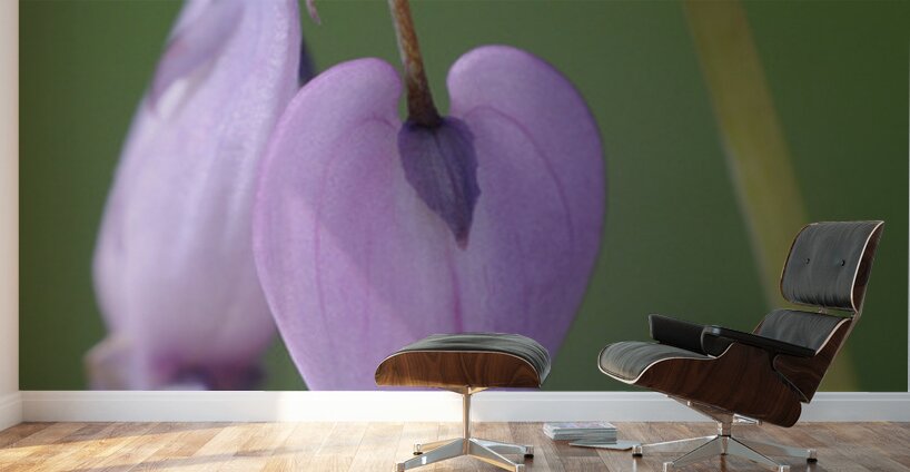 KO A48939 Wall Murals