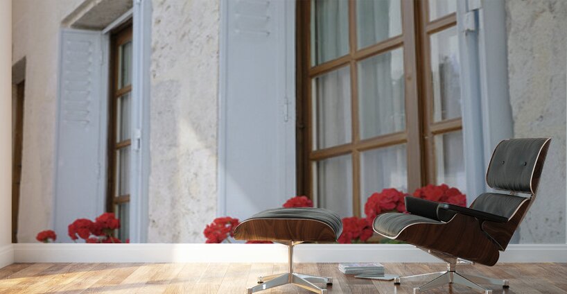 Potted red geraniums in a window Châtillon sur Loire Centre France Wall Murals