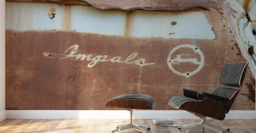 Rhyolite Nevada USA Wall Murals