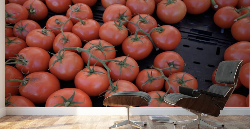 KO D16949 Wall Murals