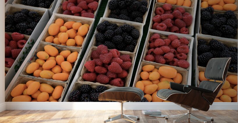 KO D17013 Wall Murals