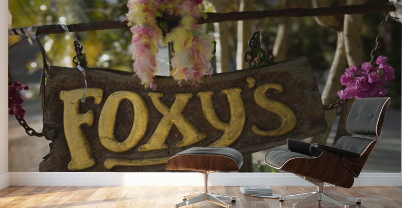 KO BVI 08474a Wall Murals