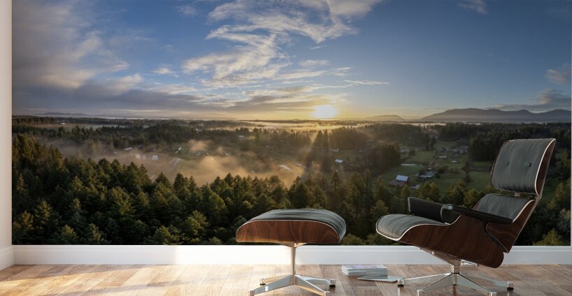 Cowichan Valley Rays Wall Murals