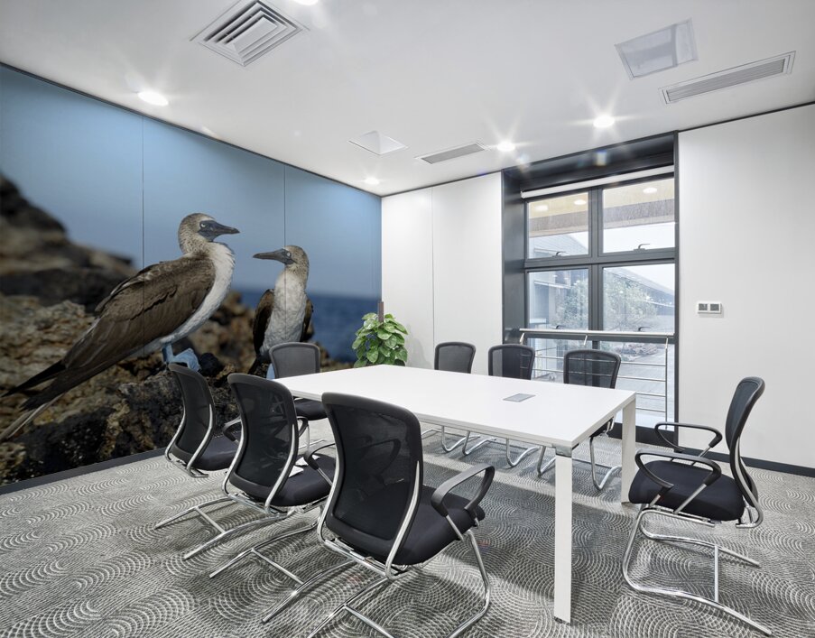 Blue-footed Booby Wall Printing