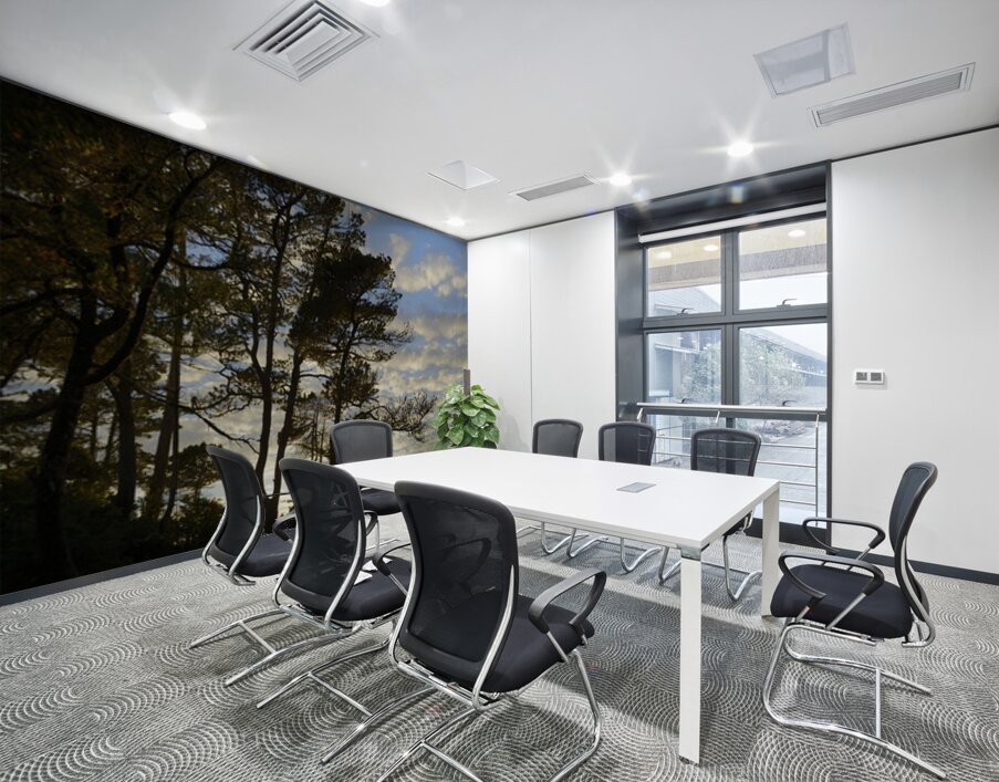 Gnarled trees at sunset Wall Printing