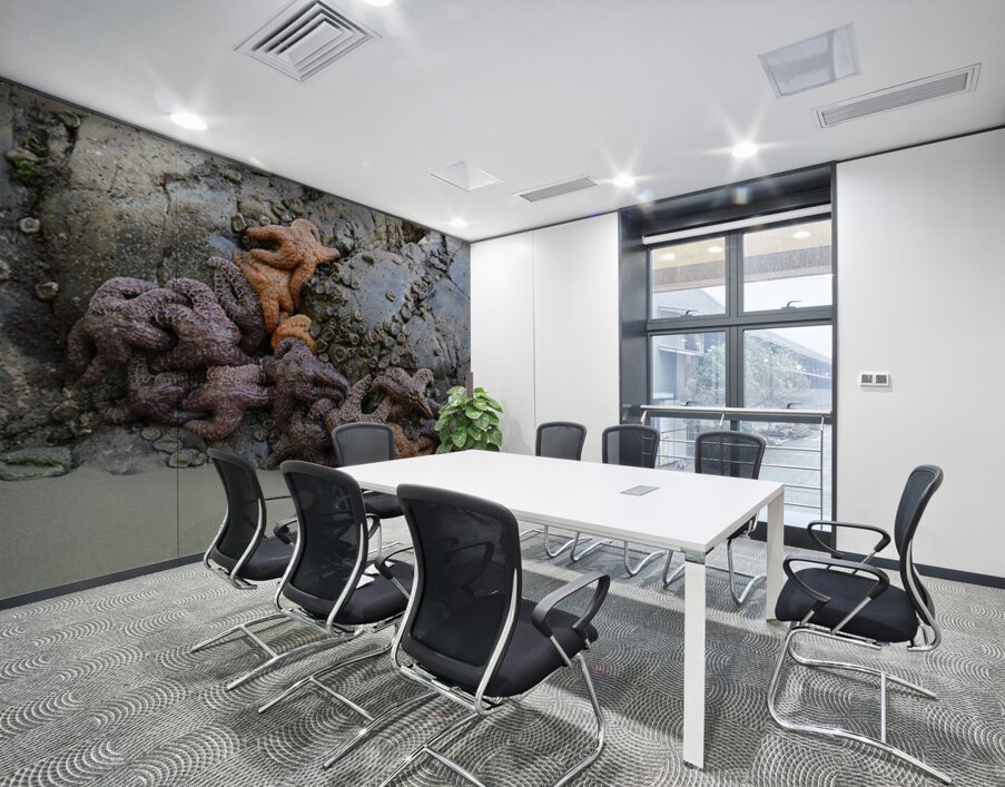 Sea stars on the rocks at Tonquin Beach Wall Printing