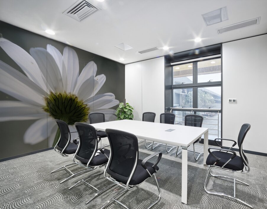 Daisy Cowichan Valley Vancouver Island British Columbia Canada Wall Printing