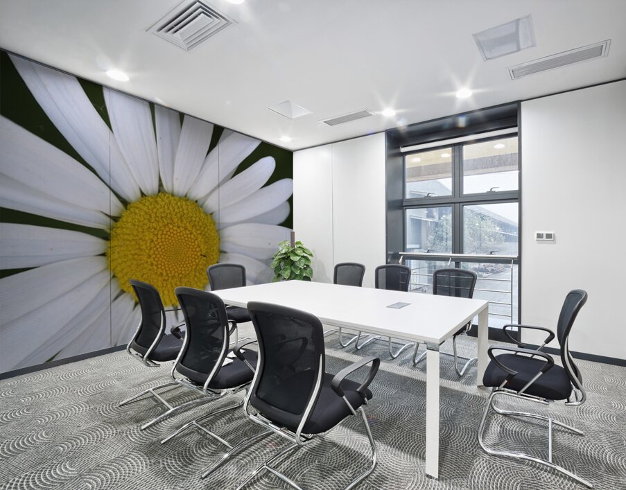 Daisy Cowichan Valley Vancouver Island British Columbia Canada Wall Printing