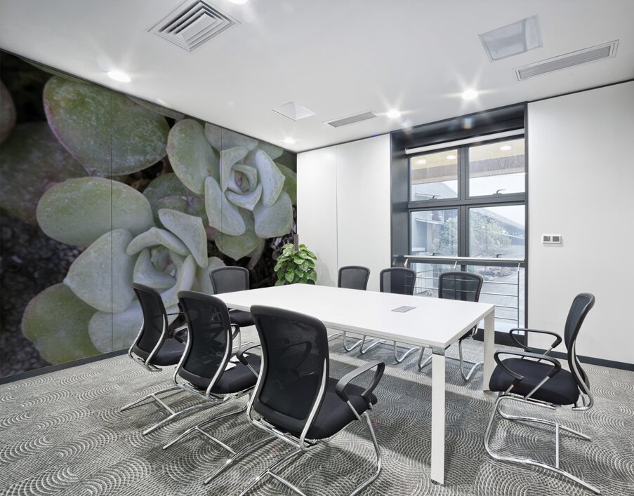 Broadleaf Stonecrop Collinsia parviflora Sedum spathulifolium Cowichan Valley Vancouver Island British Columbia Canada Wall Printing