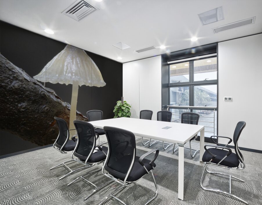 Small translucent mushroom on dead tree branch showing roots Wall Printing