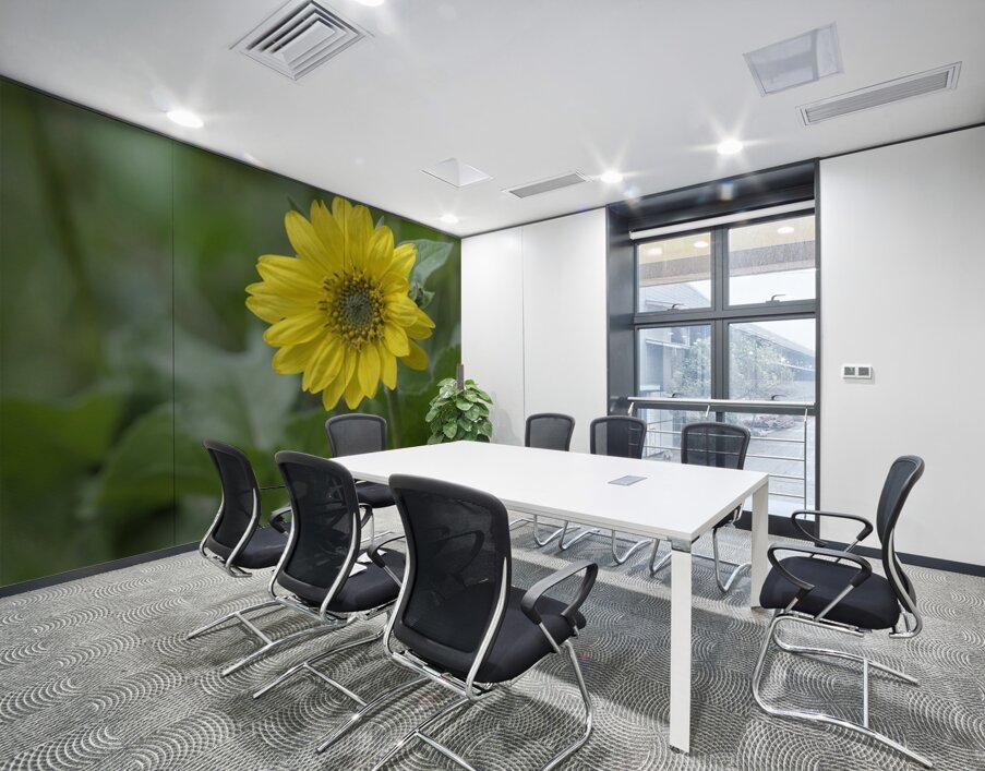 Deltoid Balsamroot Balsamorhiza deltoidea Cowichan Valley Vancouver Island British Columbia Canada Wall Printing