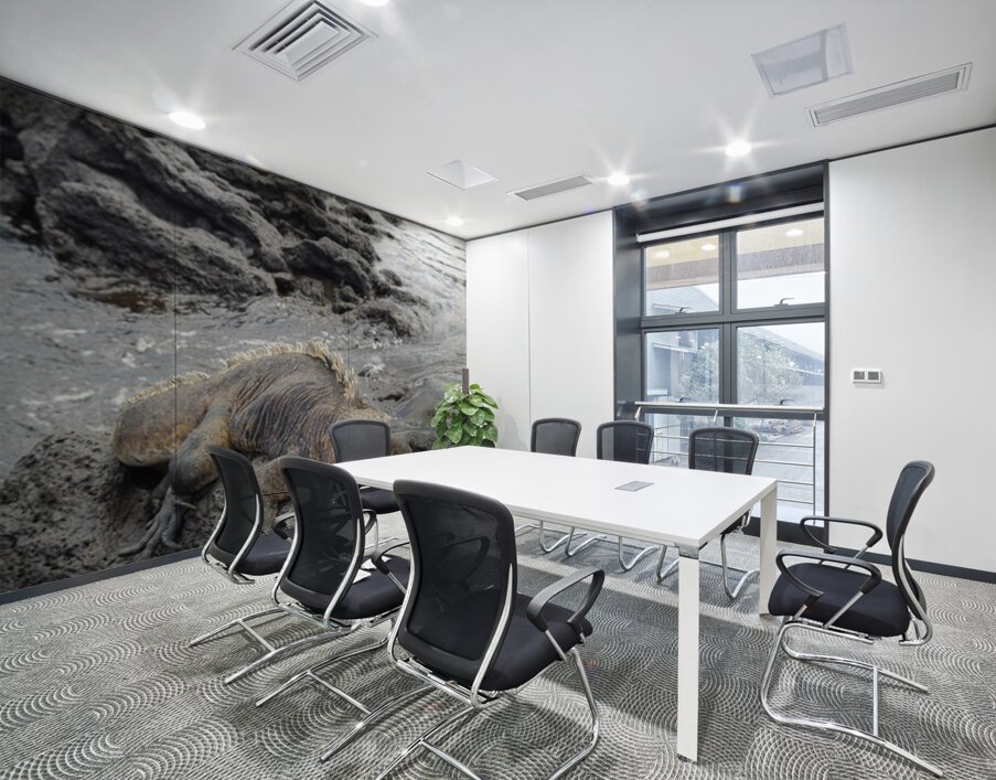 Marine Iguana Amblyrhynchus cristatus Urbina Bay Isabela Island Galapagos Islands Ecuador Wall Printing