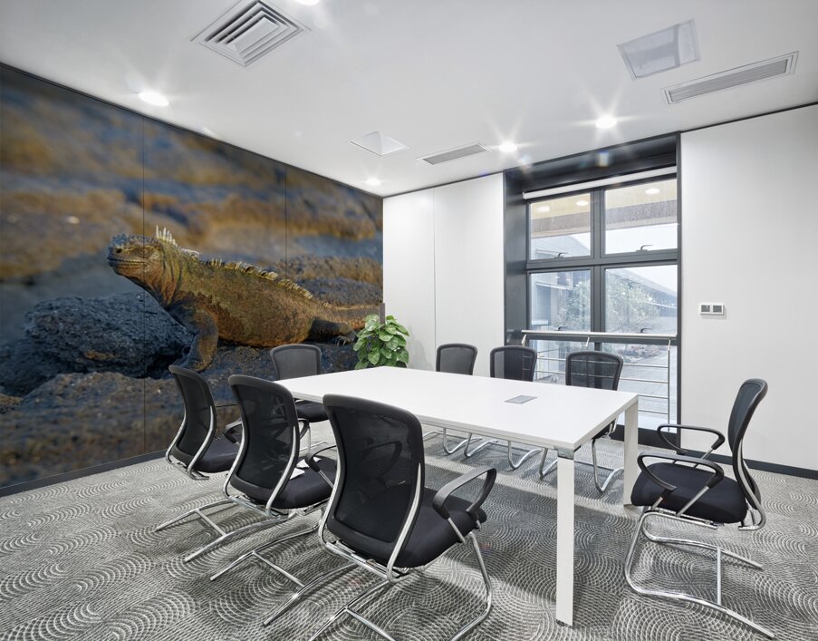 Marine Iguana Amblyrhynchus cristatus at sunset with beautiful coloring Punta Espinosa Fernandina Island Galapagos Islands Ecuador Wall Printing