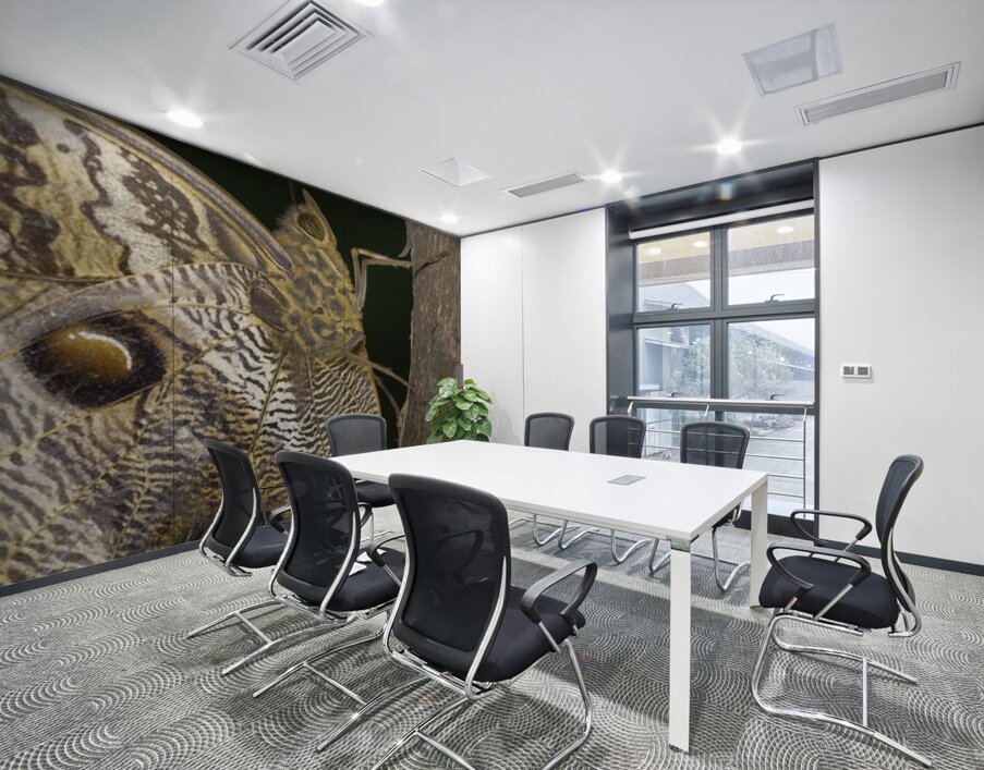 Owl butterfly Caligo idomeneus in the Amazon rainforest Amazon Ecuador Wall Printing