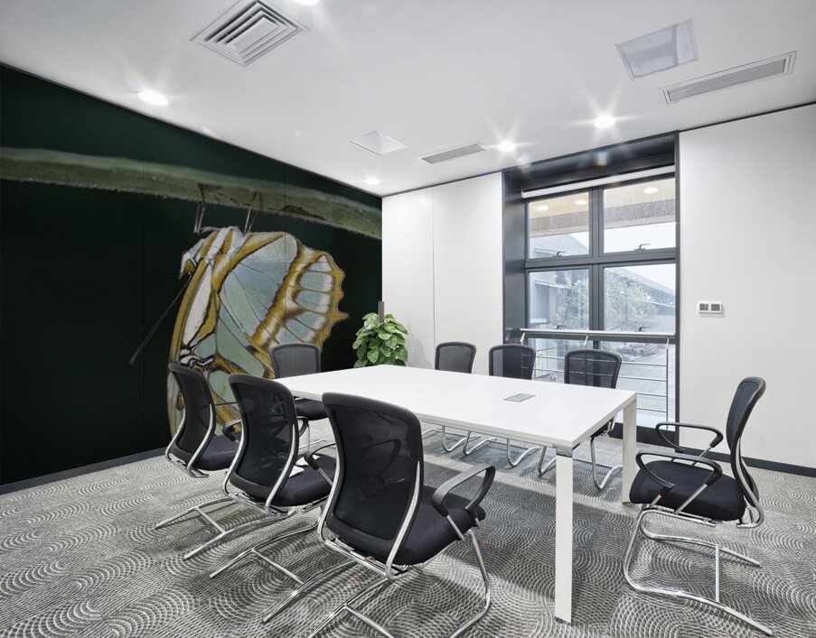 Butterfly at the La Selva Jungle Lodge butterfly farm Amazon Ecuador Wall Printing
