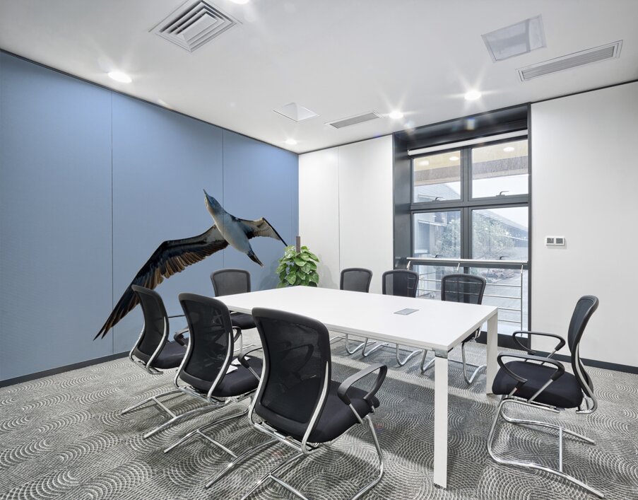 Blue footed Booby Sula nebouxii Punta Moreno Isabela Island Galapagos Islands Ecuador Wall Printing