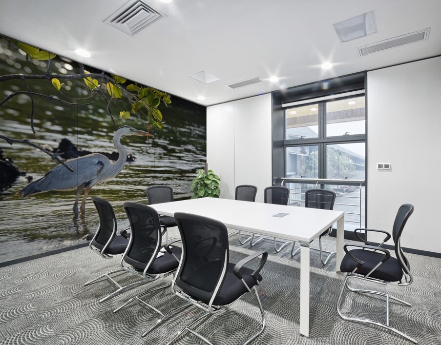 Great Blue Heron Ardea herodias Elizabeth Bay Isabela Island Galapagos Islands Ecuador Wall Printing