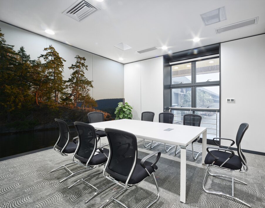 Arbutus and fir trees on the point at Conover Cove Wall Printing