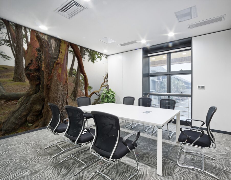 Arbutus tree at Panther Point  Wall Printing