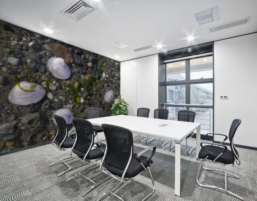 Sea shells - Spencer Spit  Wall Printing