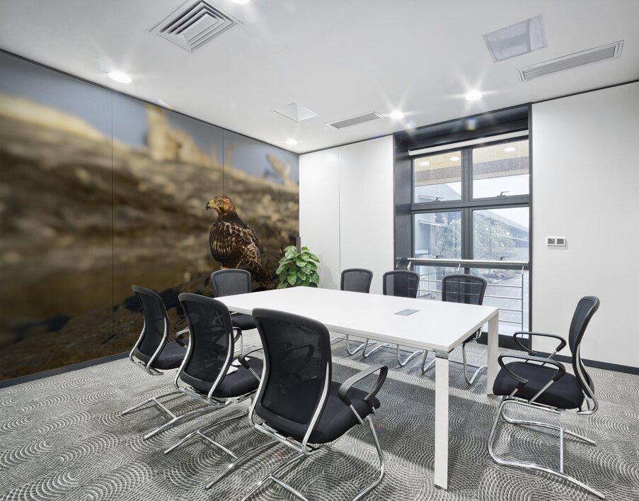 Galapagos Hawk Buteo galapagoensis perched on lava Wall Printing