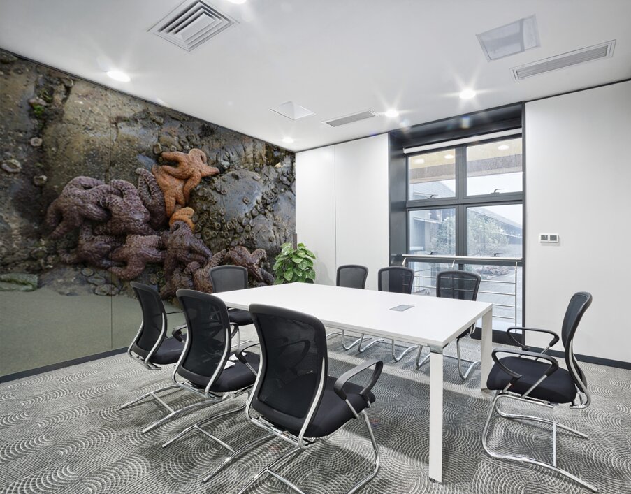 Sea stars on the rocks at Tonquin Beach Tofino Wall Printing