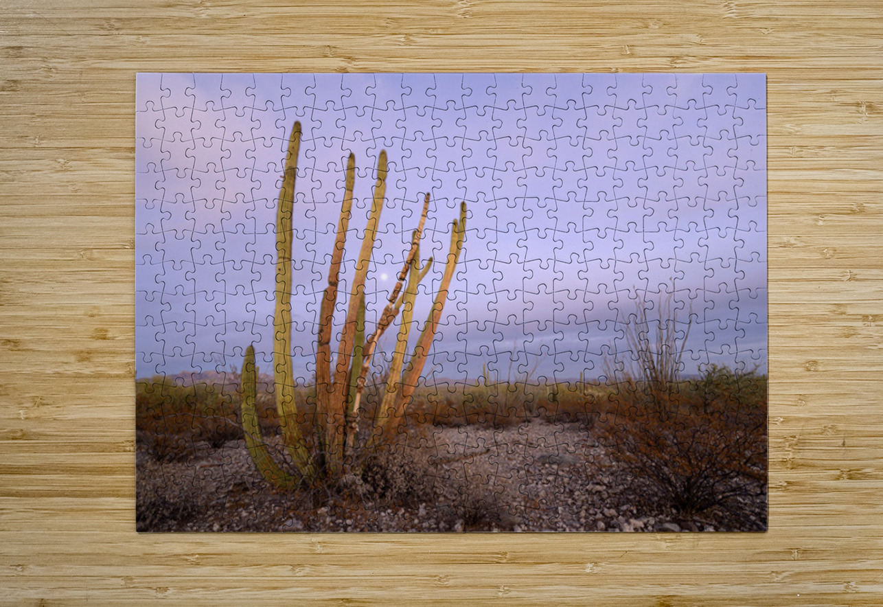 Organ Pipe Cactus Kevin Oke Puzzle printing