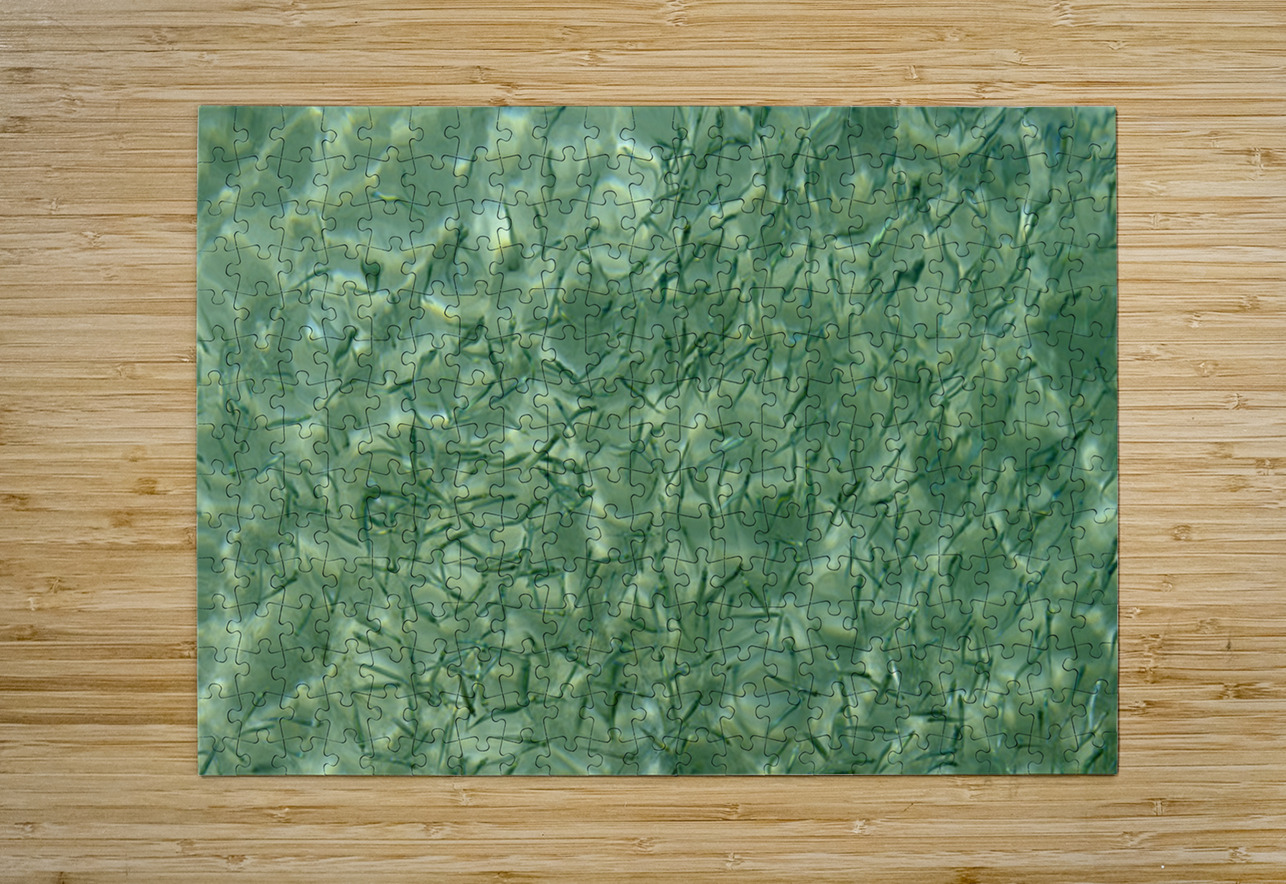 Small reef fish Kevin Oke Puzzle printing