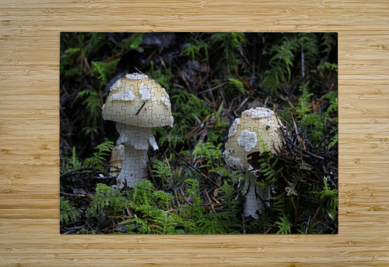 Mushroom Kevin Oke Puzzle printing