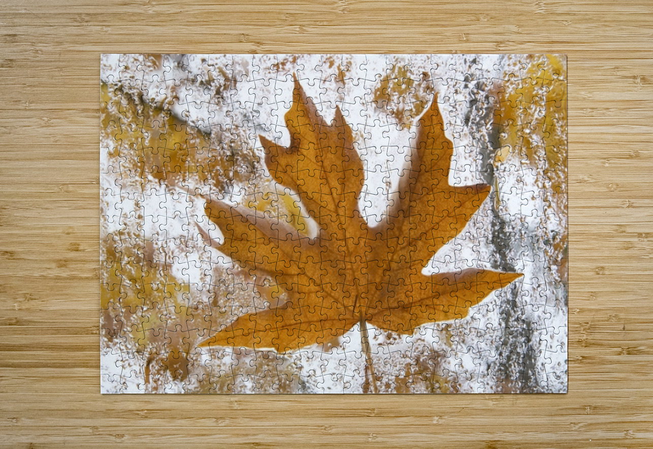 KO 45955 1 Kevin Oke Puzzle printing