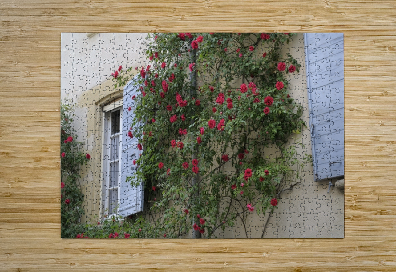 Roses climbing a wall Lourmarin Kevin Oke Puzzle printing