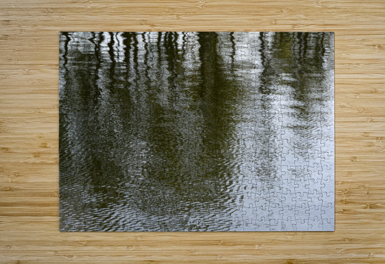 Trees reflected in the ocean Kevin Oke Puzzle printing