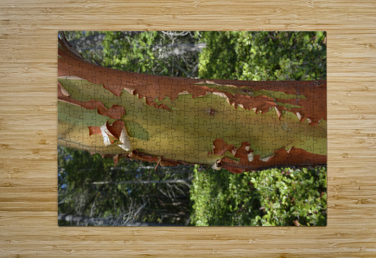 Madrona tree trunk with peeling bark Kevin Oke Puzzle printing
