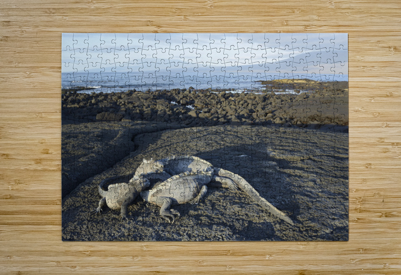 KO EC 10853 Kevin Oke Puzzle printing