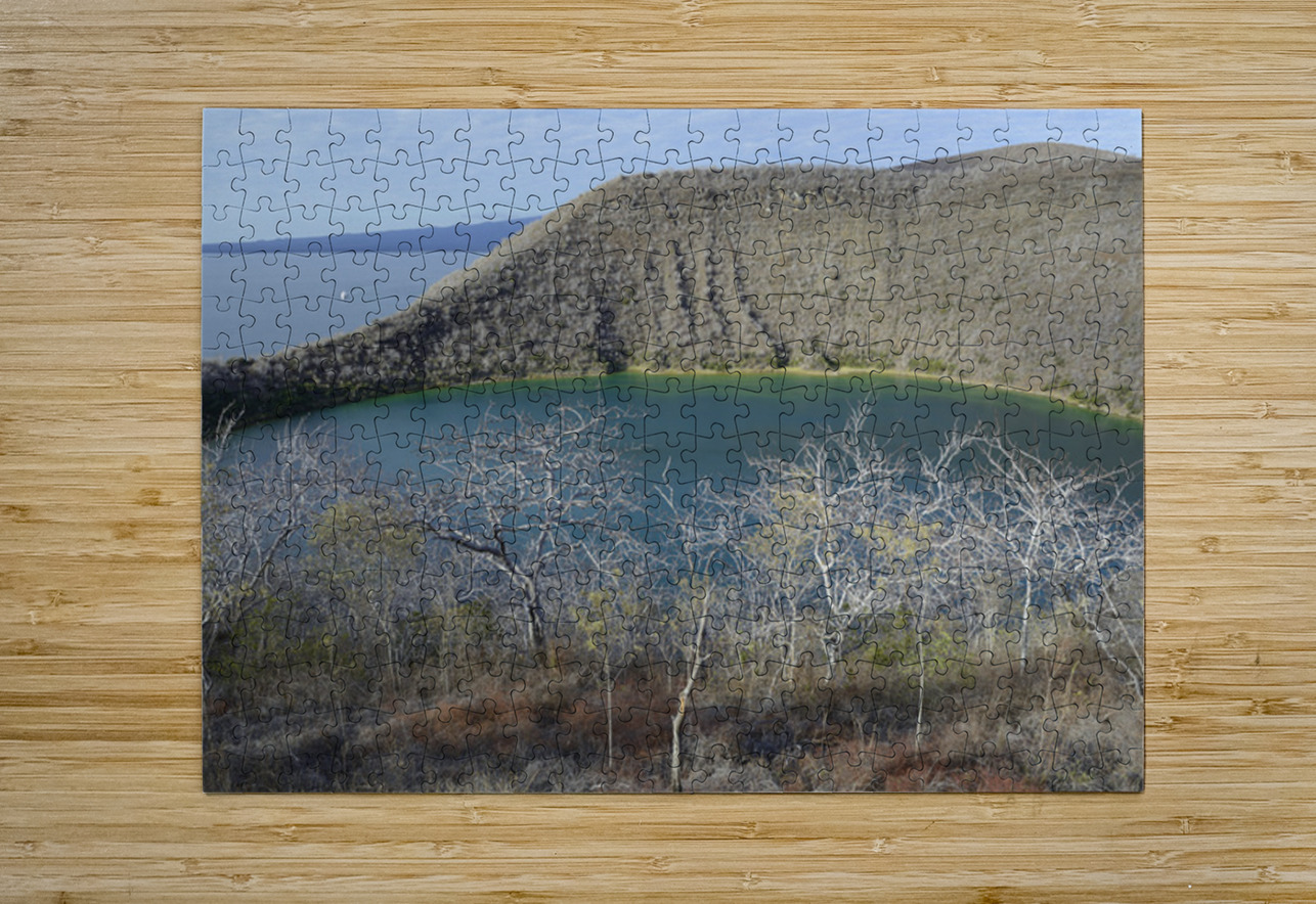 KO EC 11387 Kevin Oke Puzzle printing